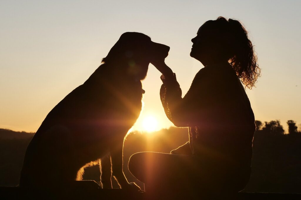 山の上で夕日に照らされながら向き合って座り、女性が犬を優しく撫でているシルエット写真