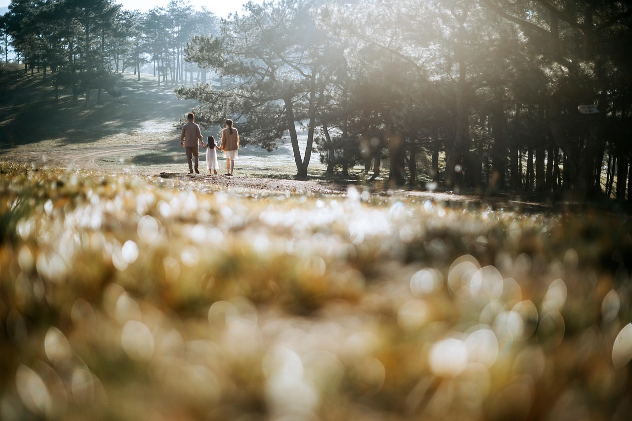 大自然の草原を家族3人で手をつなぎ歩く後ろ姿。父親と母親に挟まれて歩く娘の姿が、穏やかな愛情と安心感を象徴している写真。晴れた日の優しい光が、家族の絆と心の回復を連想させる。