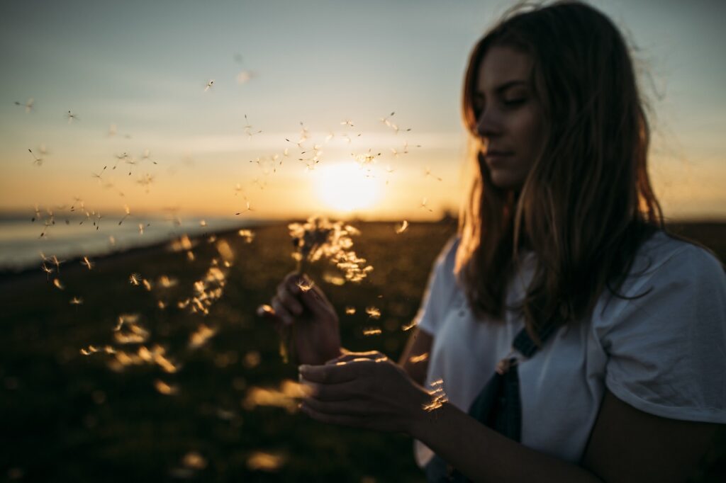 夕焼けの中で綿毛を手に持ち、静かに見つめる女性の後ろ姿