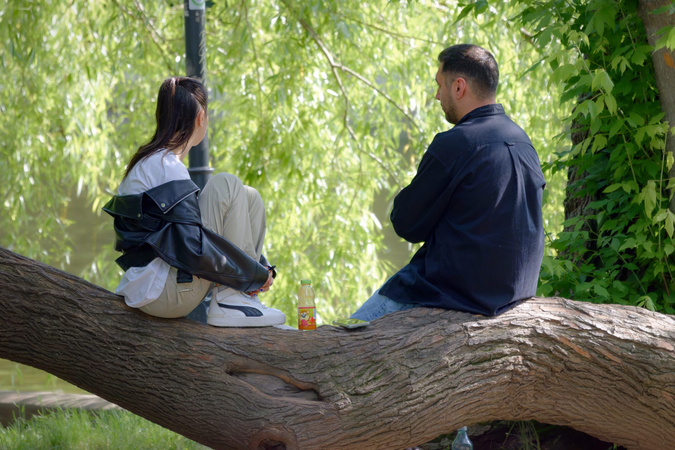 木の上に座りながら会話をする男女。婚活における感情共有とコミュニケーションの大切さを表現したイメージ写真。